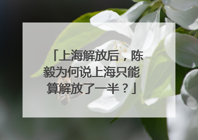 上海解放后，陈毅为何说上海只能算解放了一半？