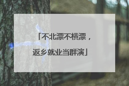 不北漂不横漂，返乡就业当群演
