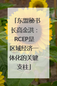 东盟秘书长高金洪：RCEP是区域经济一体化的关键支柱