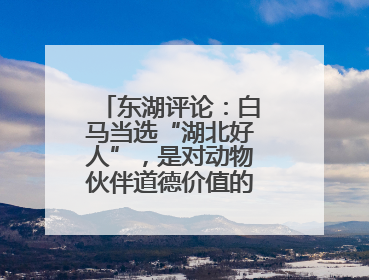 东湖评论：白马当选“湖北好人”，是对动物伙伴道德价值的深情褒奖