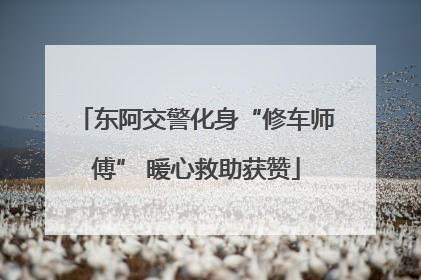 东阿交警化身“修车师傅” 暖心救助获赞