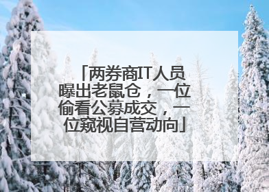 两券商IT人员曝出老鼠仓，一位偷看公募成交，一位窥视自营动向