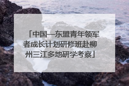 中国—东盟青年领军者成长计划研修班赴柳州三江多地研学考察