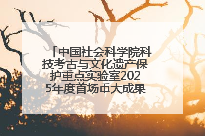 中国社会科学院科技考古与文化遗产保护重点实验室2025年度首场重大成果发布会在京举行
