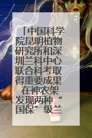 中国科学院昆明植物研究所和深圳兰科中心联合科考取得重要成果 在神农架发现两种“国保”级兰花