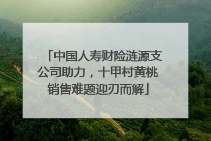 中国人寿财险涟源支公司助力，十甲村黄桃销售难题迎刃而解
