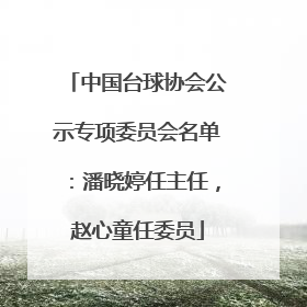 中国台球协会公示专项委员会名单：潘晓婷任主任，赵心童任委员