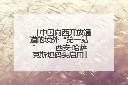 中国向西开放通道的境外“第一站”——西安·哈萨克斯坦码头启用