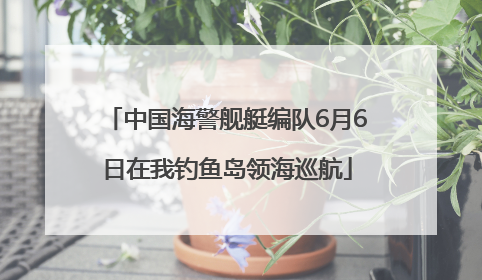 中国海警舰艇编队6月6日在我钓鱼岛领海巡航