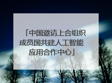 中国邀请上合组织成员国共建人工智能应用合作中心
