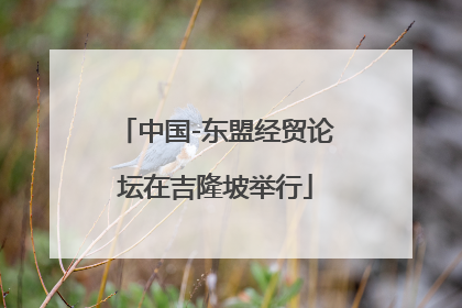 中国-东盟经贸论坛在吉隆坡举行