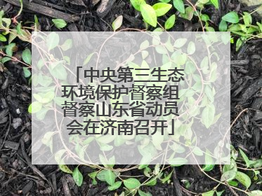 中央第三生态环境保护督察组督察山东省动员会在济南召开
