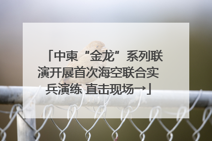 中柬“金龙”系列联演开展首次海空联合实兵演练 直击现场→