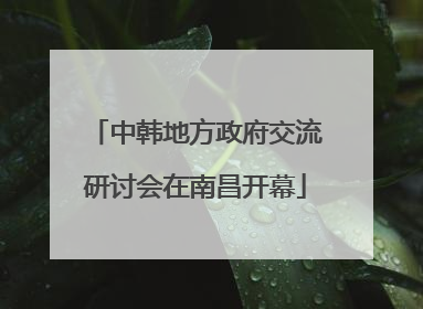 中韩地方政府交流研讨会在南昌开幕