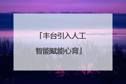 丰台引入人工智能赋能心育