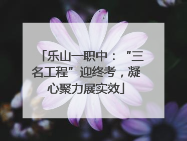 乐山一职中：“三名工程”迎终考，凝心聚力展实效
