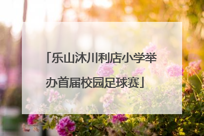 乐山沐川利店小学举办首届校园足球赛