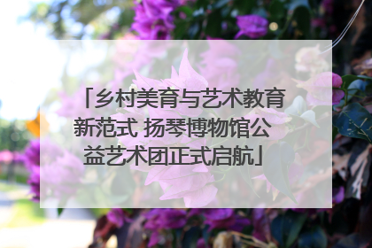乡村美育与艺术教育新范式 扬琴博物馆公益艺术团正式启航