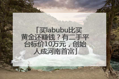 买labubu比买黄金还赚钱？有二手平台标价10万元，创始人成河南首富