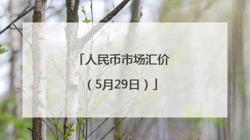 人民币市场汇价（5月29日）