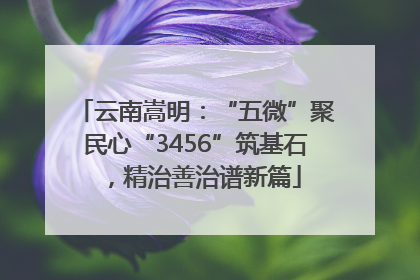 云南嵩明：“五微”聚民心“3456”筑基石，精治善治谱新篇