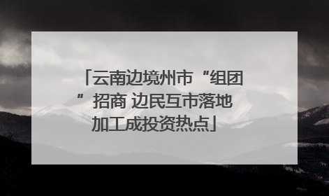 云南边境州市“组团”招商 边民互市落地加工成投资热点