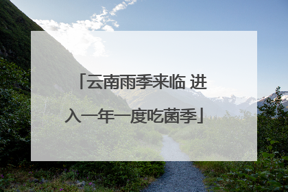 云南雨季来临 进入一年一度吃菌季