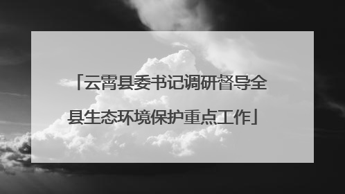云霄县委书记调研督导全县生态环境保护重点工作