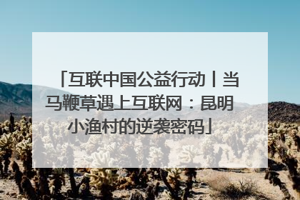 互联中国公益行动丨当马鞭草遇上互联网：昆明小渔村的逆袭密码