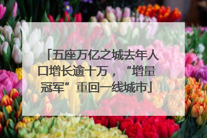 五座万亿之城去年人口增长逾十万，“增量冠军”重回一线城市