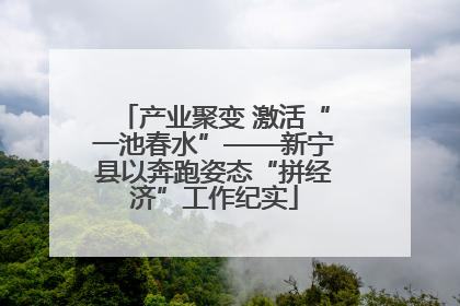 产业聚变 激活“一池春水”——新宁县以奔跑姿态“拼经济”工作纪实