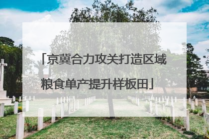 京冀合力攻关打造区域粮食单产提升样板田