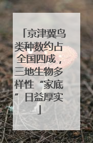 京津冀鸟类种数约占全国四成，三地生物多样性“家底”日益厚实