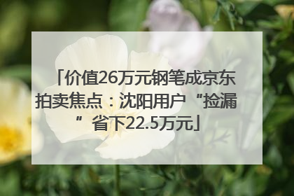 价值26万元钢笔成京东拍卖焦点：沈阳用户“捡漏”省下22.5万元