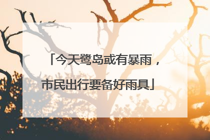 今天鹭岛或有暴雨，市民出行要备好雨具