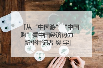 从“中国游”“中国购”看中国经济热力 新华社记者 樊 宇