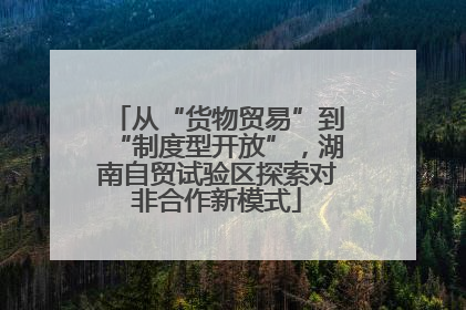 从“货物贸易”到“制度型开放”，湖南自贸试验区探索对非合作新模式