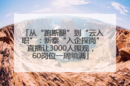 从“跑断腿”到“云入职”：新泰“入企探岗”直播让3000人围观，60岗位一周填满