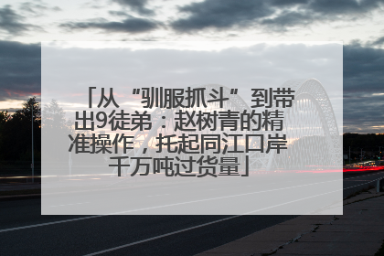从“驯服抓斗”到带出9徒弟：赵树青的精准操作，托起同江口岸千万吨过货量