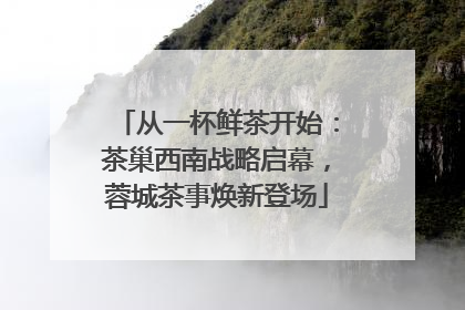 从一杯鲜茶开始：茶巢西南战略启幕，蓉城茶事焕新登场