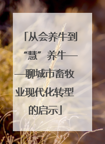 从会养牛到“慧”养牛——聊城市畜牧业现代化转型的启示