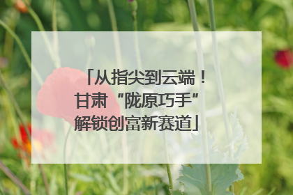 从指尖到云端！甘肃“陇原巧手”解锁创富新赛道