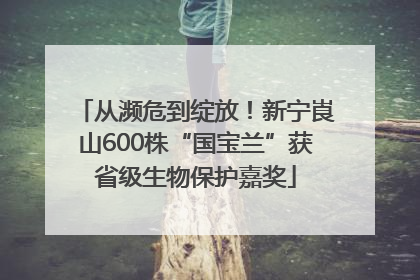 从濒危到绽放！新宁崀山600株“国宝兰”获省级生物保护嘉奖