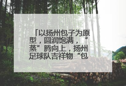 以扬州包子为原型，圆润饱满，“蒸”腾向上，扬州足球队吉祥物“包赢”亮相即售罄