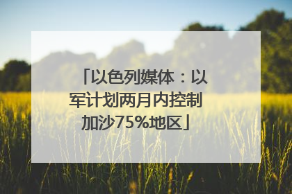 以色列媒体：以军计划两月内控制加沙75%地区