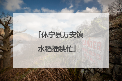 休宁县万安镇水稻插秧忙