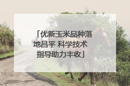优新玉米品种落地昌平 科学技术指导助力丰收