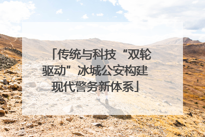 传统与科技“双轮驱动”冰城公安构建现代警务新体系
