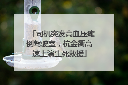 司机突发高血压瘫倒驾驶室，杭金衢高速上演生死救援