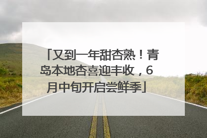 又到一年甜杏熟！青岛本地杏喜迎丰收，6月中旬开启尝鲜季